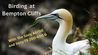 Birding at RSPB Bempton Cliffs With Sony A6700 and Sony FE 200600 G lens sonya6700 sony200600 [upl. by Anyek40]