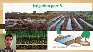 Irrigation part 3 Crop Science standard 11 bifocal methods of irrigationflooding method [upl. by Edgardo892]