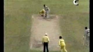 ALLAN BORDER DOES IT HIMSELF [upl. by Hudson140]