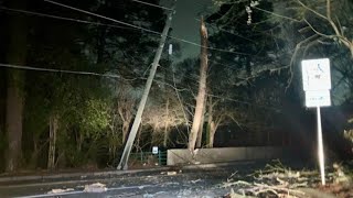 Fallen tree damages utility lines causing outages to 220 homes in Atlanta’s Collier Hills [upl. by Anirbac140]