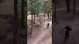 Mountain Biking  Attempting a backflip soclose mtb dirtjump biketricks frank1qualls0 skills [upl. by Valenba603]