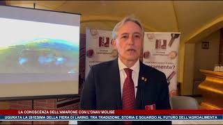 La conoscenza dellamarone con lonav Molise  Trsp  news del 111024 [upl. by Posehn822]