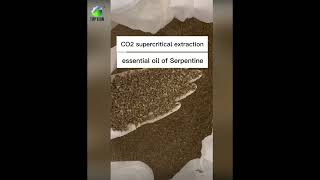 essential oil of Serpentine from Supercritical CO2 machine [upl. by Accebber395]