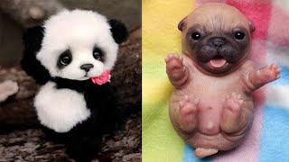 Cute baby animals Videos Compilation cute moment of the animals  Cutest Animals 44 [upl. by Karola244]