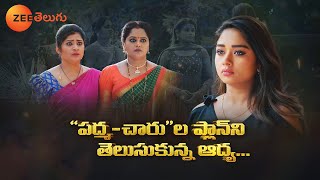 Padamati Sandhya Ragam Promo  23 Jan 2024  Mon to Sat at 800 PM  Zee Telugu [upl. by Tenrag]