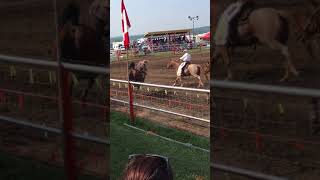 Colton Crook Vs Shaky Ground  Halfway River Valley Rodeo 2018 [upl. by Manvel970]