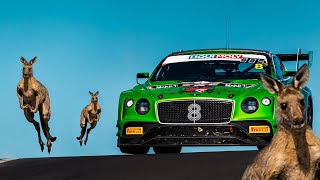 Kangaroos invade Bathurst Supercut of Kangaroo moments from 2020 Bathurst 12 Hour B12hr [upl. by Retseh]