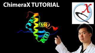 FREE 3D protein video from ChimeraX [upl. by Angil718]