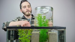 Make A Vacuum Suspended Fish Tank [upl. by Torhert]