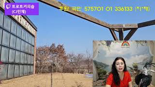 🍀제62회 01월 04일🍀월목PM8시 화금AM10시 트로트커피숍CJ민채 🔔구독👍좋아요 [upl. by Aria]