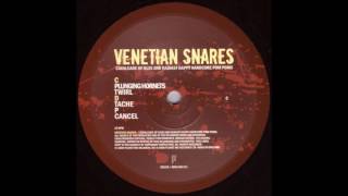 Venetian Snares  Plunging Hornets [upl. by Iatnohs414]