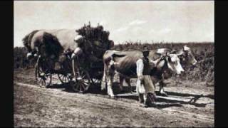 Sârba din căruţă  Chain dance from the cart [upl. by Aryc]