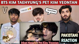 Bts Kim Taehyungs Pet Kim Yeontan  Pakistani Reaction  Usman Rajpoot [upl. by Mina]