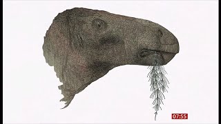 New dinosaur species discovered in the Isle of Wight UKGlobal 10July2024 [upl. by Orlando]