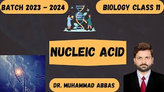 Nucleic Acid The Science Behind DNA [upl. by Weslee]