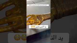 ‏يد النبي يحيى وعصى موسى في ‏متحف توب كابي في اسطنبول ￼￼ [upl. by Hintze]