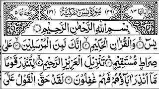 Surat Yaseen 😍With Text Sura Yasin Complete ♥️Surah Yaseen Complete From Quran🥀 [upl. by Errol]