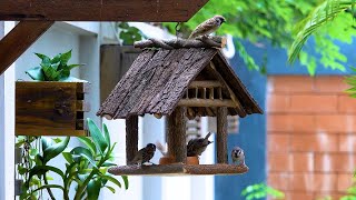 Make Rustic Log Bird Feeder [upl. by Rehpotisrhc]