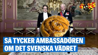 Japans ambassadörer i Sverige hyllar kanelbullen [upl. by Kellene]