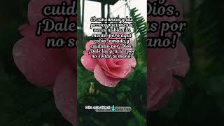 Dale gracias a DiosFrases InspiradorasFrases positivas [upl. by Seadon]