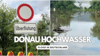 Donau Hochwasser 2024  Danube Flood  Hochwasser in Bayern  aktuelle lage  Deggendorf [upl. by Koppel]