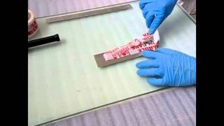 180 Degree Peel Adhesion Test of PSA Tape by PackTestcom [upl. by Calbert356]