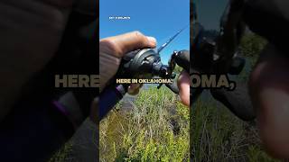 Bass Fishing with Ultralight Gear is NEXT LEVEL 🐟travishunter fishing bassfishing kastking [upl. by Grados]