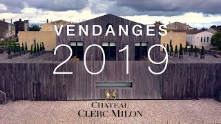 Vendanges 2019 au château Clerc Milon  Reportage [upl. by Llennol]