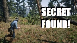 Second Crater SECRET LOCATION Found in Red Dead Redemption 2 [upl. by Iraj]