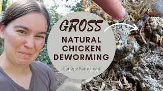 Worms in chicken poop GROSS  How naturally deworm chickens [upl. by Loris]