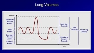 Pulmonary Function Tests PFT Lesson 1  An Introduction [upl. by Auos596]