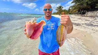 Catch n Cook on a Caribbean Beach  Conch and Snapper [upl. by Atnaloj262]