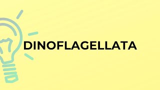 What is the meaning of the word DINOFLAGELLATA [upl. by Petras]