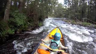 MANNING RIVER Whitewater canoeing OC1 amp OC2 with kids [upl. by Lytsirhc]