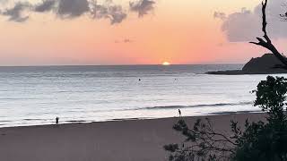 Sunrise at Terrigal Beach Multiple bird fly passes [upl. by Yaluz671]