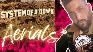 SYSTEM OF A DOWN “AERIALS” REACTION [upl. by Griseldis27]