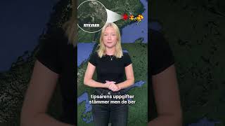 Nykvarns kommuns efterlysning En tre meter orm på rymmen [upl. by Ecnarolf]