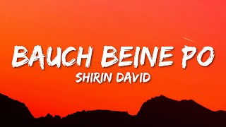 Shirin David  Bauch Beine Po Lyrics [upl. by Priebe784]