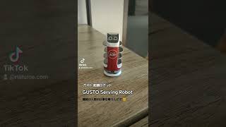 ガストの配膳ロボ😾cat serving robot [upl. by Limaj]