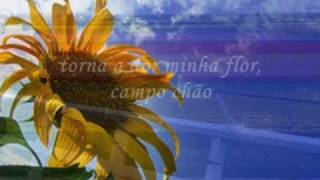 Ana Moura Flor de Lua [upl. by Aufmann]