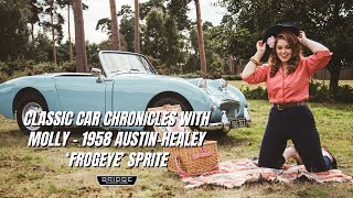 Car Chronicles with Molly  1958 AustinHealey Frogeye Sprite [upl. by Ulrick]