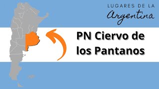 PN Ciervo de los Pantanos Buenos Aires [upl. by Earahc]