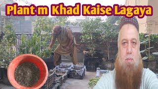 Plant M Khad Kaise Lagaya explorewithahmad21 [upl. by Sterne220]