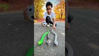 Remote Control Cobra🐍 And Snake Unboxing🔥 [upl. by Seldan]