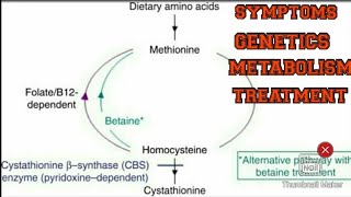 Homocystiuria Amino Acid disorder In hindi and english [upl. by Nwad724]