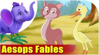 Famous Aesops Fables in French [upl. by Hadlee]