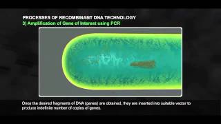 Processes of Recombinant DNA Technology Part 1 512 1 [upl. by Gisele]