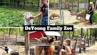 DeYoung Family Zoo [upl. by Keenan8]