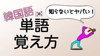 【アラサー初心者向け】韓国語単語を超効率的に覚える方法 [upl. by Lede]