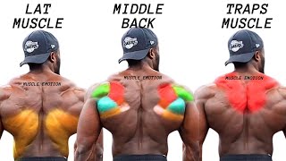 TOP 5 LAT MIDDLE BACK TRAPS WORKOUT WITH DUMBBELLS CABLE AND MACHINE AT GYM [upl. by Eiralav]